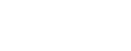 He net